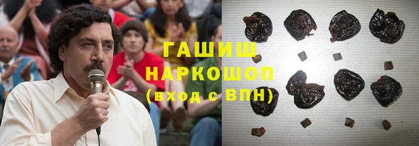 apvp Краснослободск