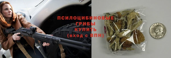 apvp Краснослободск