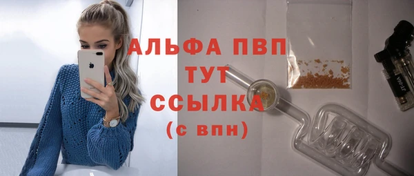 apvp Краснослободск