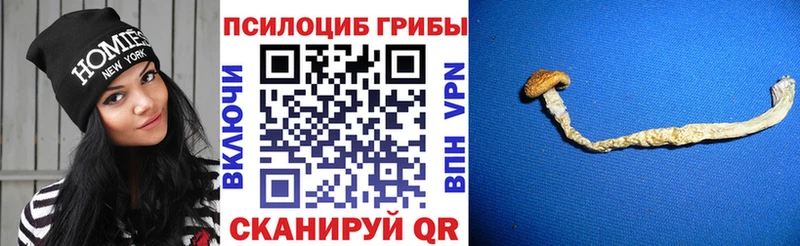 Галлюциногенные грибы мухоморы  Чадан 