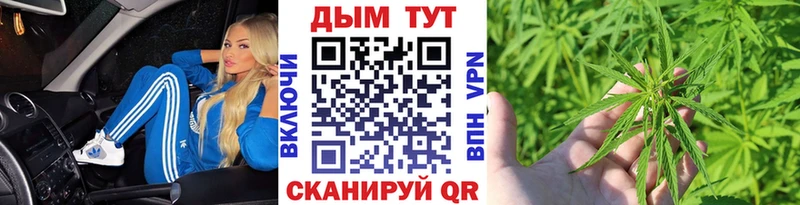 Конопля гибрид  где найти   Чадан 